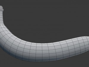 3d realistic old banana model 3D Model