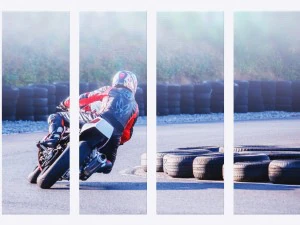 printed canvas - men riding a motorbike 3D Model