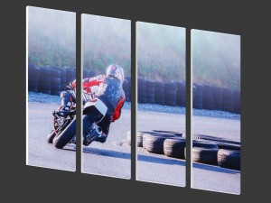 printed canvas - men riding a motorbike 3D Model