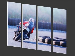 printed canvas - men riding a motorbike 3D Model
