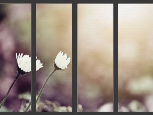 printed canvas - little white flower 3d 3D Model