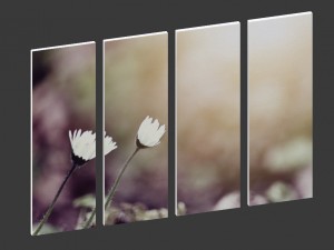 printed canvas - little white flower 3d 3D Model