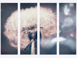 printed canvas - dandelion flower model 3D Model