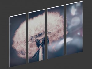 printed canvas - dandelion flower model Modèle 3D