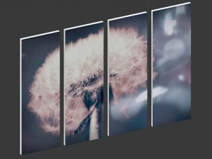 printed canvas - dandelion flower model 3D Model