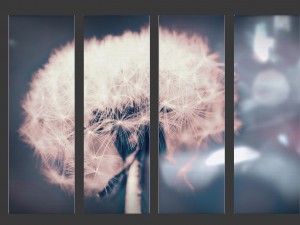 printed canvas - dandelion flower model Modèle 3D