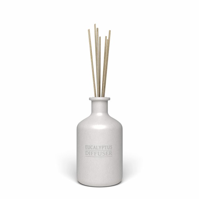 eucalyptus diffuser with sticks- decor object 3d Modèle 3D .c4d .max .obj .3ds .fbx .stl .blend 