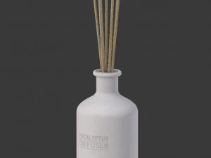 eucalyptus diffuser with sticks- decor object 3d 3D Model