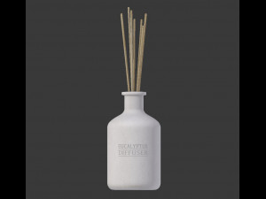 eucalyptus diffuser with sticks- decor object 3d Modèle 3D