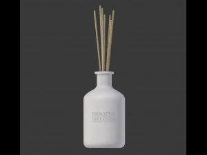 eucalyptus diffuser with sticks- decor object 3d 3D Model