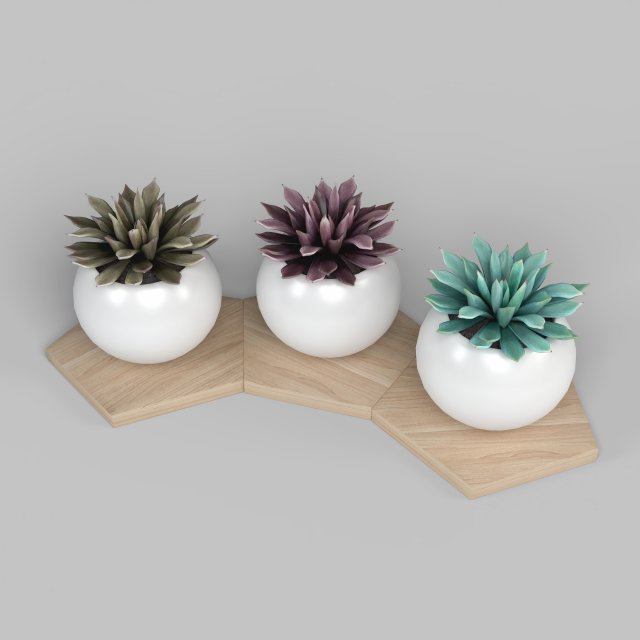potted plant decoration 3D Model .c4d .max .obj .3ds .fbx .stl .blend 