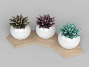 potted plant decoration 3Dモデル