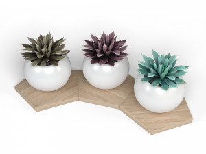 potted plant decoration 3D Model