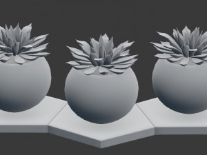 potted plant decoration 3D Model