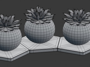 potted plant decoration 3D Model