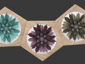 potted plant decoration 3D Model