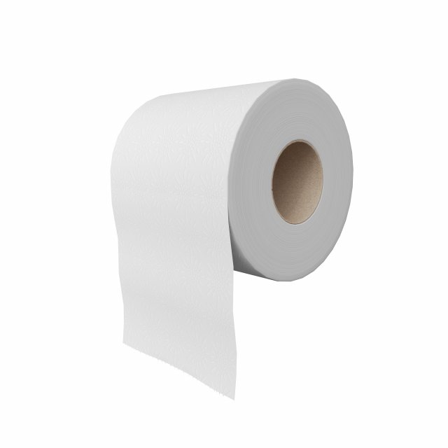 toilet paper 3D Model .c4d .max .obj .3ds .fbx .stl .blend 