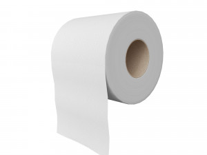 toilet paper 3D Model