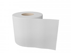 toilet paper 3D Model