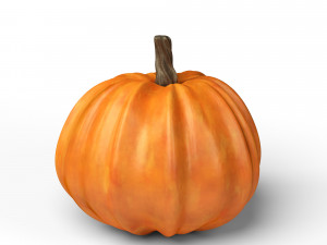 pumpkin 3D Model