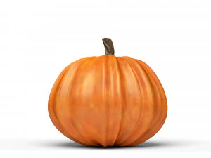 pumpkin 3D Model