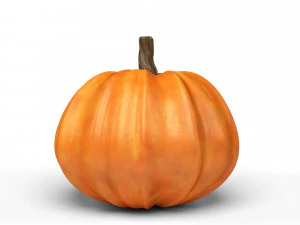 pumpkin 3D Model