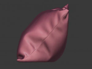 3d floral pillow model 3D Model