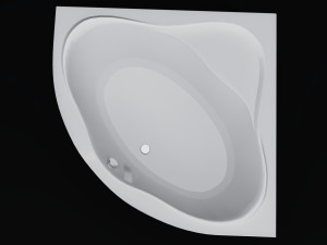 acrylic corner bath newday Modèle 3D