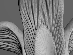 st&oacute;ł i stołek Model 3D