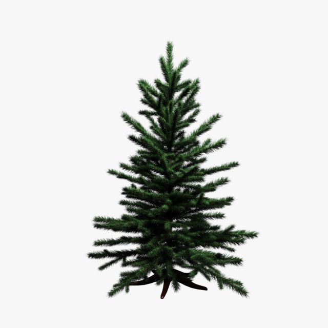 spruce 3D Model .c4d .max .obj .3ds .fbx .stl .blend 