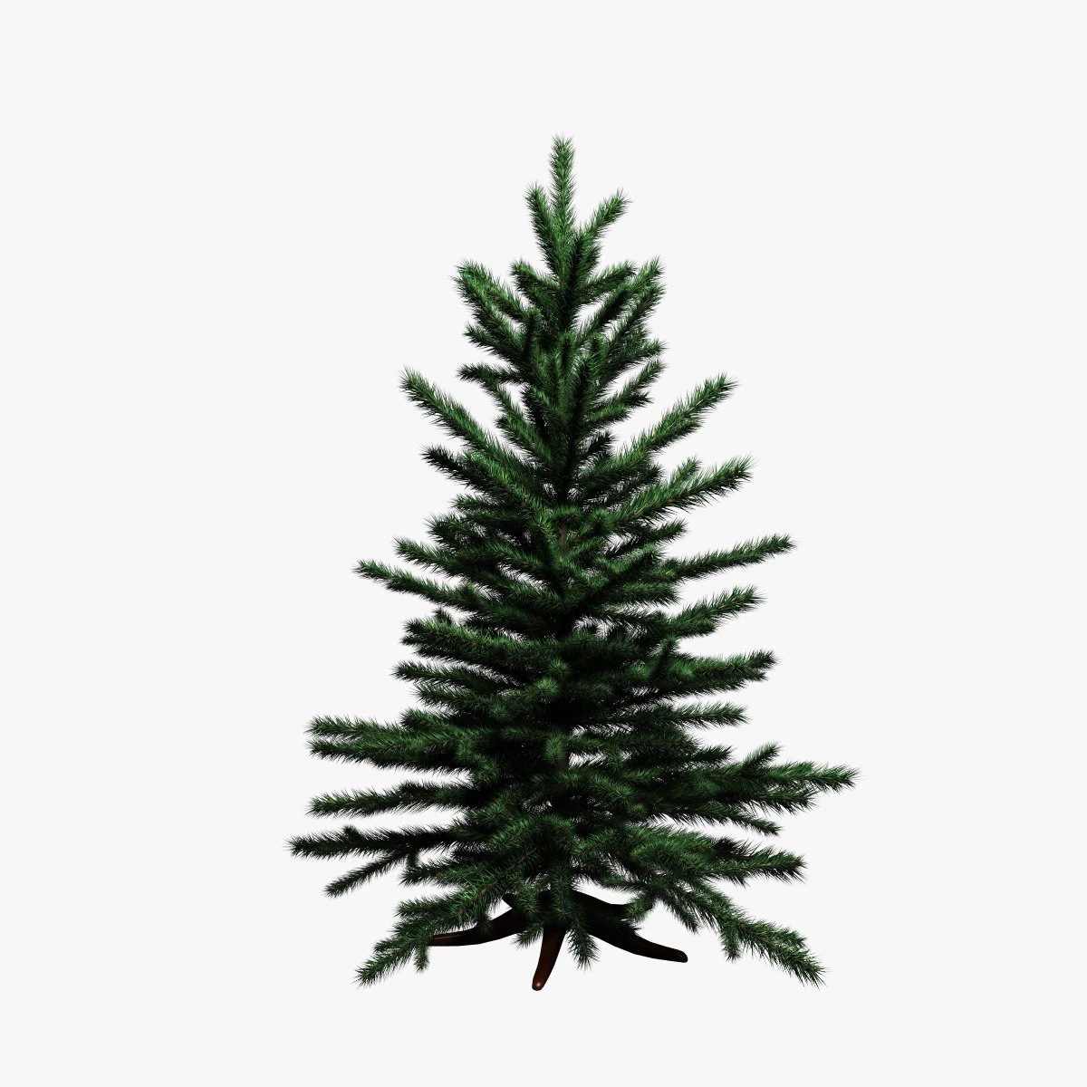 spruce 3D Model .c4d .max .obj .3ds .fbx .stl .blend 
