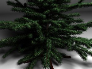 spruce 3D Model