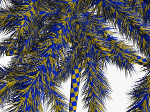 spruce 3D Model