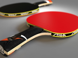 table tennis bat Modello 3D
