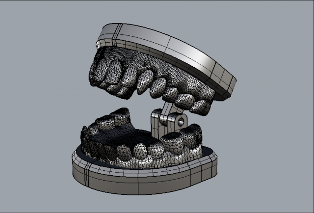 dental model 3D Model .c4d .max .obj .3ds .fbx .stl .blend 