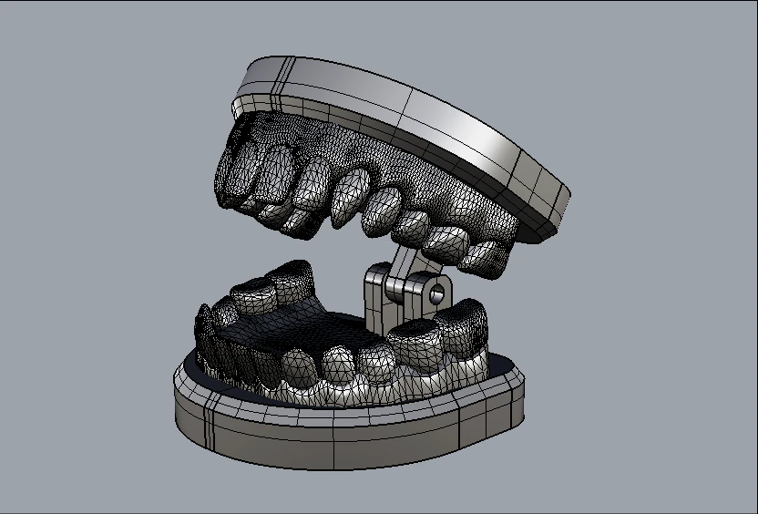 dental model 3D Model .c4d .max .obj .3ds .fbx .stl .blend 