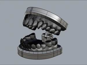 modelo dental Modelo 3D