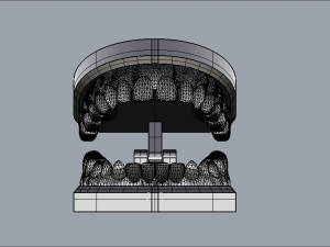 dental model 3D Model
