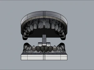 dental model 3D Model