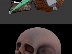 human skull 3D 모델