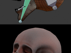 human skull 3D 모델