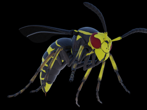 wasp 3D Model