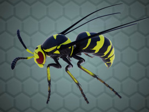 wasp 3D Model
