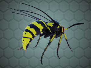 wasp 3D Model