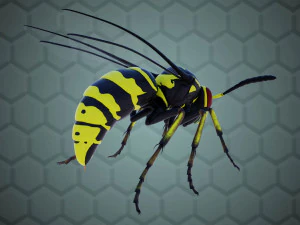 wasp 3D Model