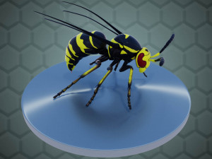 wasp 3D Model