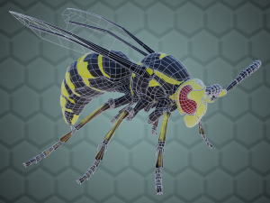wasp 3D Model