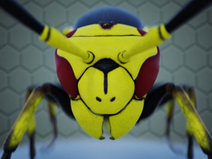 wasp 3D Model