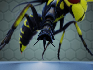 wasp 3D Model