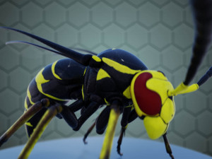 wasp 3D Model